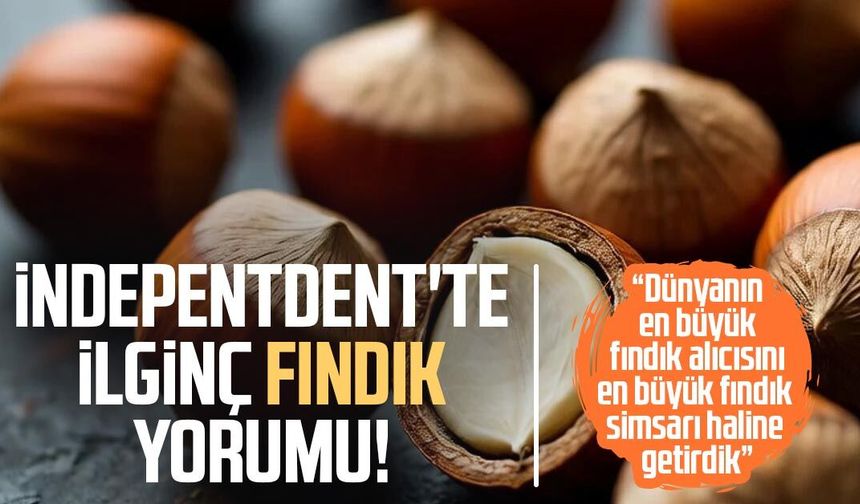 İndepentdent'te ilginç fındık yorumu: "Simsar haline getirdik"