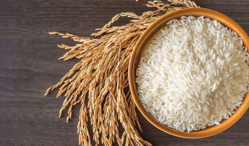 Samsun’un Yerel Ürünleri: Fındık, Pirinç, Bal ve Mısırın Mutfağa Yolculuğu