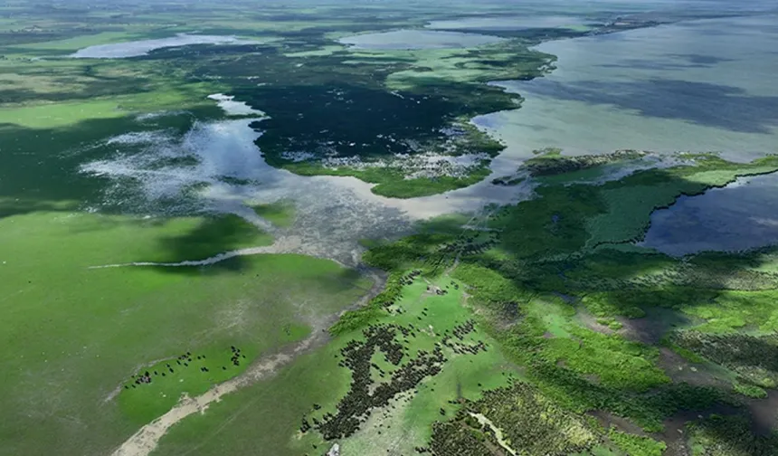 Deltada Dört Mevsim Doğa Gözlemi ve Kuş Rotaları