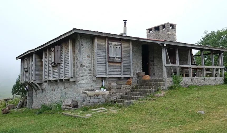 Asarcık Yaylalarında Doğal Yaşam