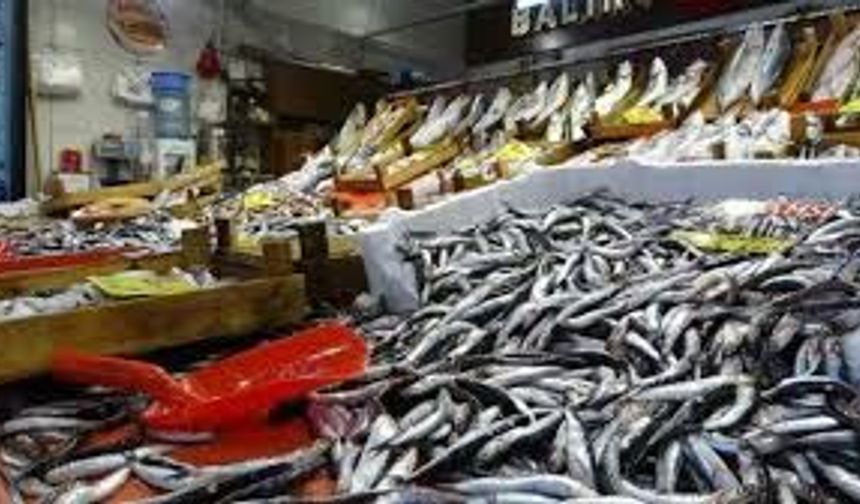 Samsun Balık Sezonu Başladı: En Taze Balık Nerede Yenir?