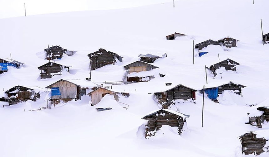 Kavak Yaylalarında Kış Hazırlıkları: Kar Altında Köy Yaşamı