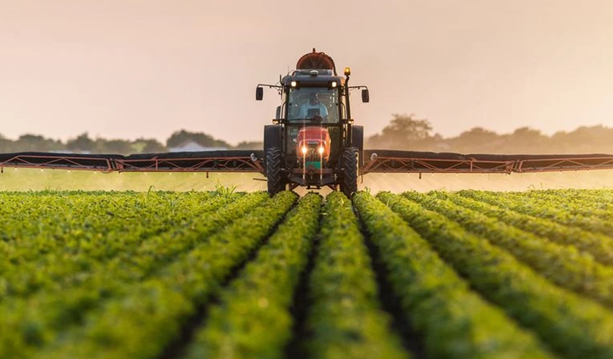 Kavak’ta Hayvancılık ve Organik Üretimin Önemi