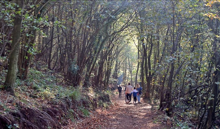 Canik’te Doğa ve Şehir Yaşamı: Kültürel Duraklar