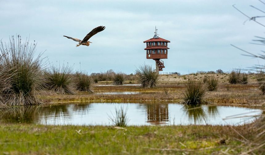 Bafra Kızılırmak Deltası: Türkiye’nin Sessiz Doğal Alanı