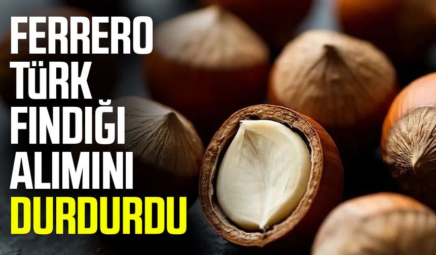 Ferrero, Türk fındığı alımını durdurdu