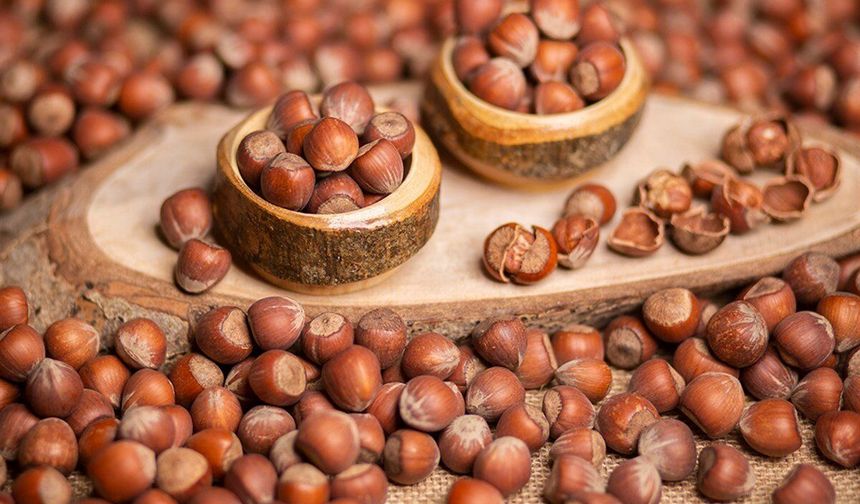 Salıpazarı’nda Köy Pazarları ve Fındık-Bal Kültürü