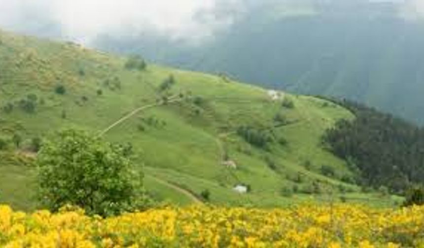 Kavak’ta Gezilecek Yerler: Yaylalar, Orman Yolculukları ve Köy Yaşamı