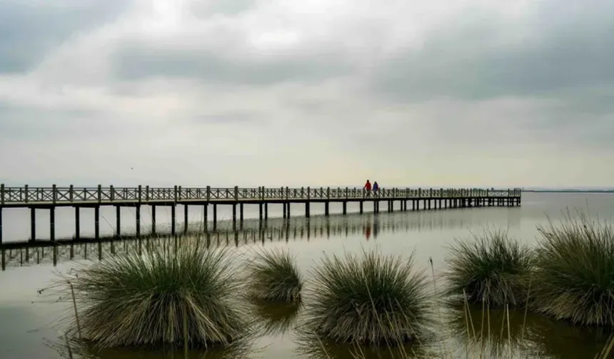 19 Mayıs İlçesi Doğa ve Kültür Rehberi