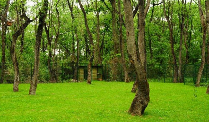 Samsun’un En Huzurlu Piknik Alanları