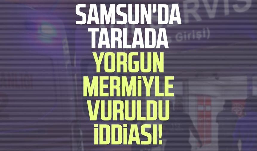 Samsun'da tarlada yorgun mermiyle vuruldu iddiası!