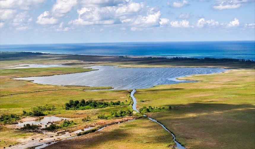 Terme Ovası ve Amazon Efsanesi