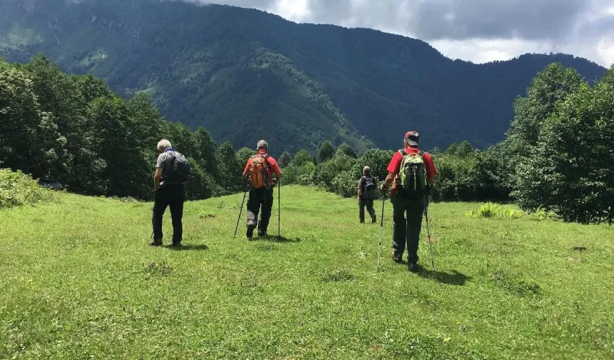 Asarcık’ta Yayla Keşfi Rehberi