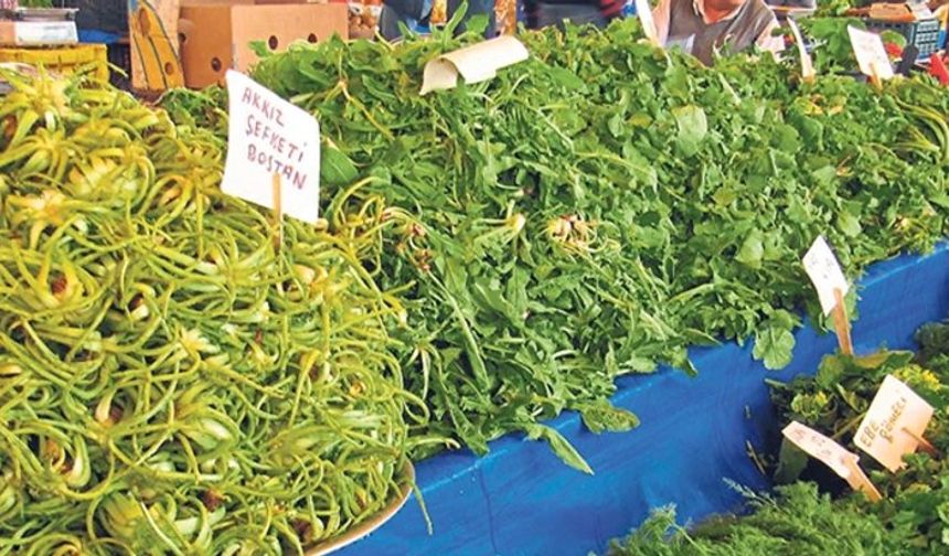 Samsun’da Doğadan Toplanan Otların Yemeklerde Kullanımı