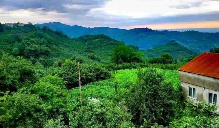 Salıpazarı’nda Köy Yaşamının Doğal Ritmi