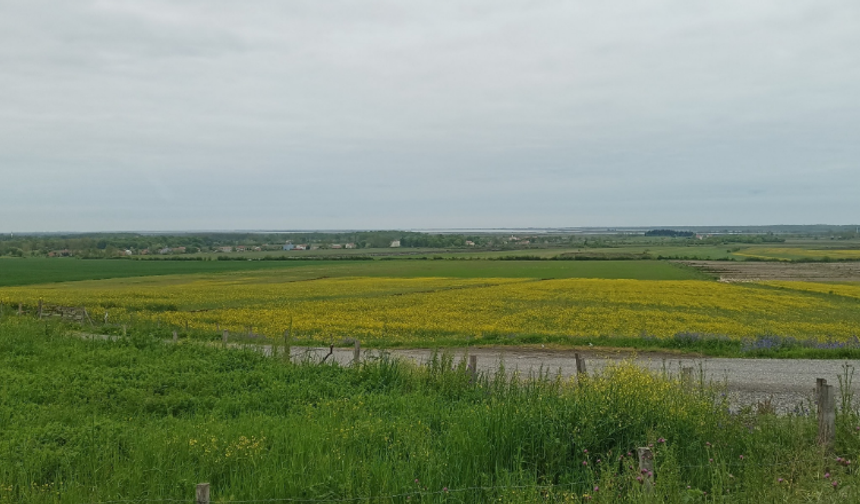 Çarşamba Ovası’nın Yerleşim Kültürüne Etkisi