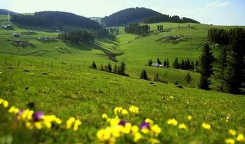 Asarcık’ın Yaylaları ve Doğa Rotaları