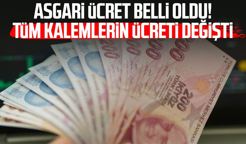 Asgari ücret belli oldu! Tüm kalemlerin ücreti değişti