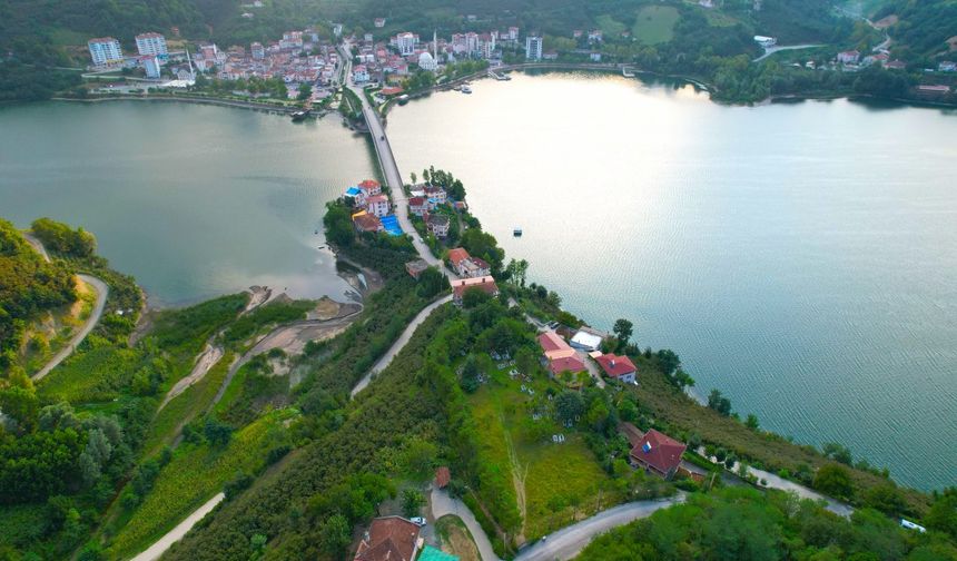 Ayvacık’ta Göl Çevresinde Oluşan Doğal Yaşam