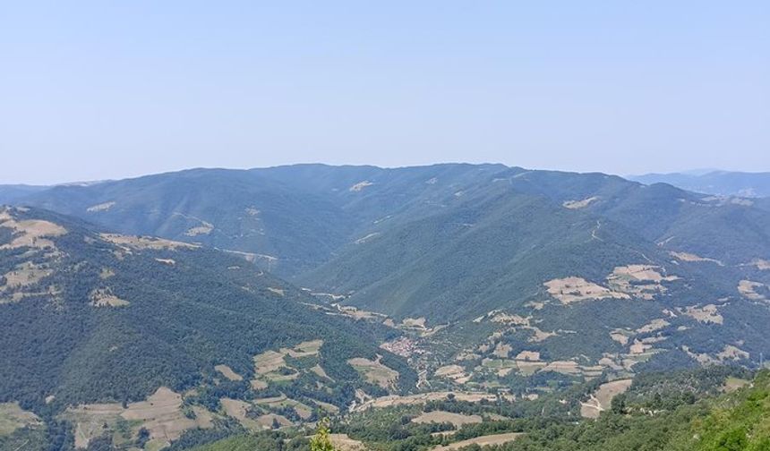 Bafra’nın Doğal Güzelliklerle Dolu Keşif Rotaları