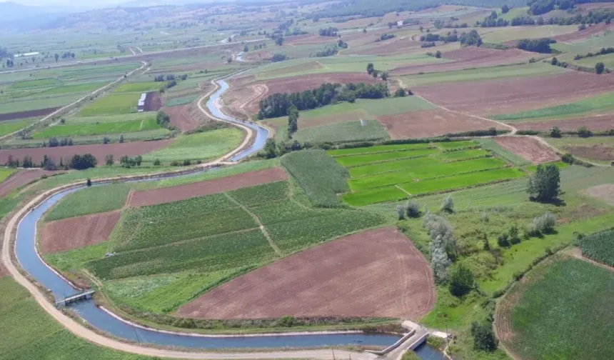 Bafra’nın Ova Kültürüyle Şekillenen Toplumsal Yapısı