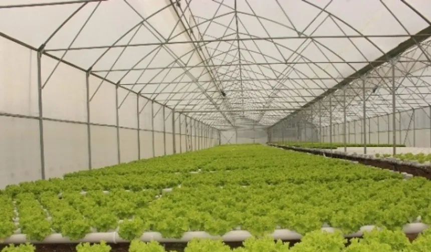 Çarşamba’nın Tarımsal Kimliğinin Günümüze Etkisi