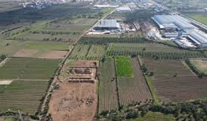 Çarşamba’da Tarımsal Üretimin Sosyal Hayata Yansımaları