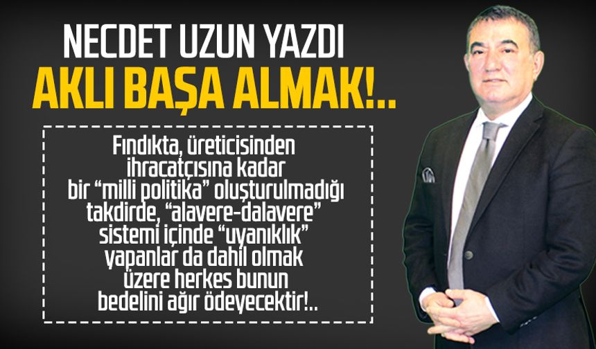 Necdet Uzun yazdı: Aklı başa almak!..