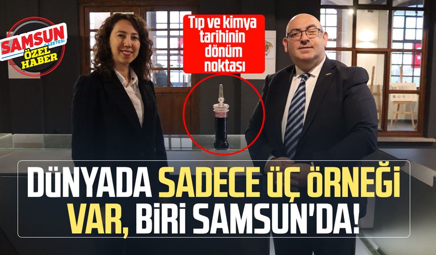 Dünyada sadece üç örneği var, biri Samsun'da!