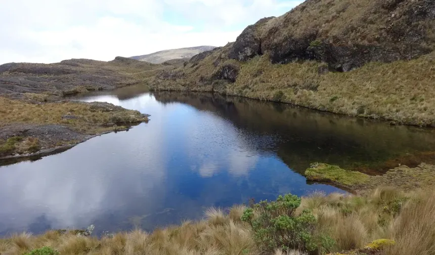 Havza’da Doğal Kaynakların Yerleşim Tarihine Etkisi