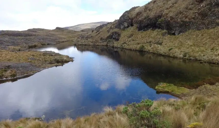 Havza’da Doğal Kaynakların Yerleşime Etkisi