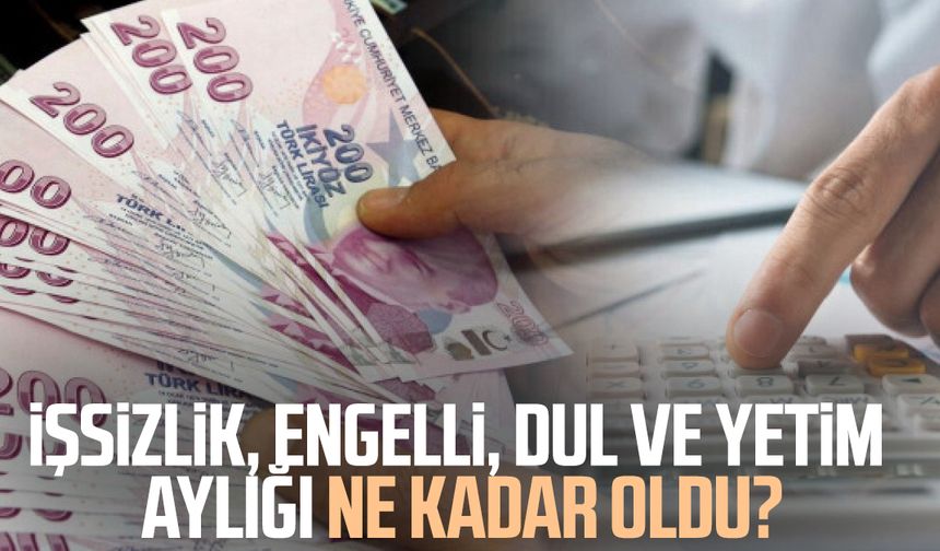 İşsizlik, engelli, dul ve yetim aylığı ne kadar oldu?