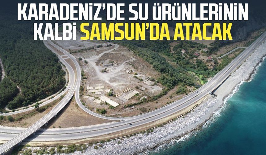 Karadeniz’de su ürünlerinin kalbi Samsun’da atacak
