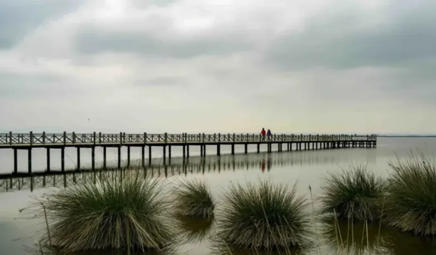 Ondokuzmayıs’ın Kıyı ve Kırsal Yaşam Arasındaki Doğal Denge
