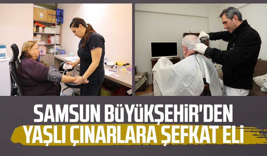 Samsun Büyükşehir'den yaşlı çınarlara şefkat eli