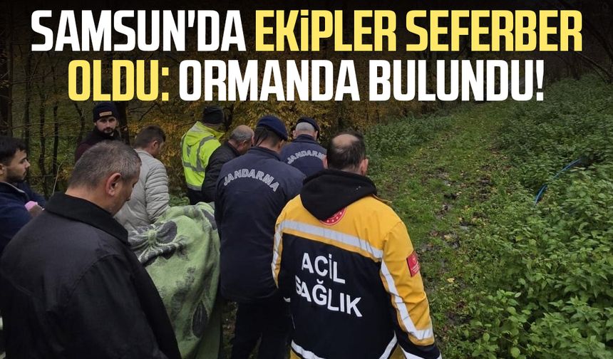 Samsun'da ekipler seferber oldu: Ormanda bulundu!