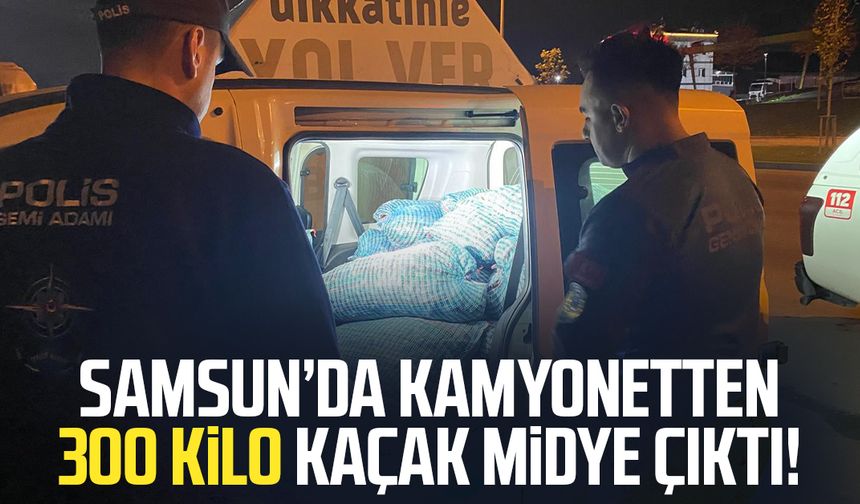Samsun’da kamyonetten 300 kilo kaçak midye çıktı!