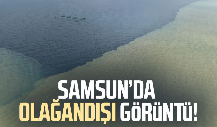 Samsun'da denizin rengi değişti: Olağandışı görüntü