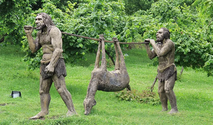 Tekkeköy’ün Arkeolojik ve Kültürel Zenginlikleri