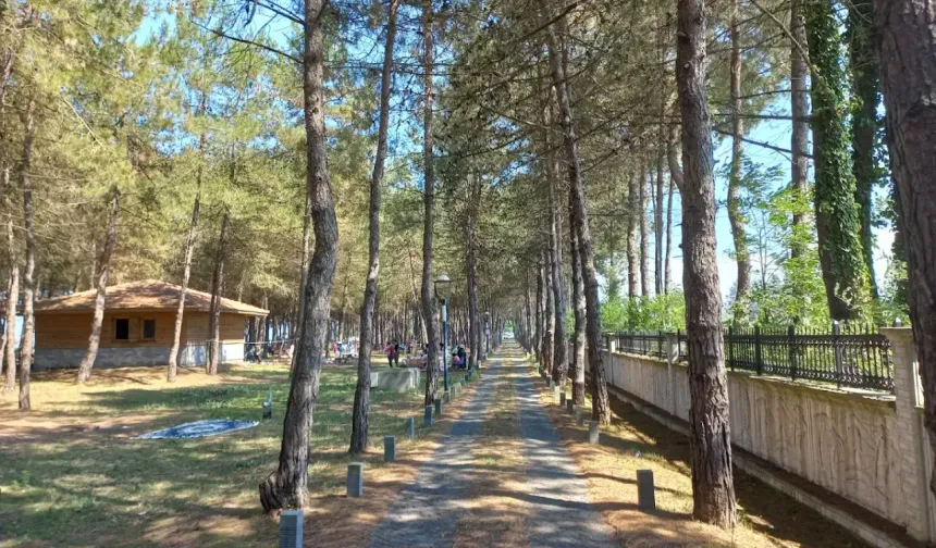 Terme’de Doğal Alanlarda Yürüyüş ve Keşif