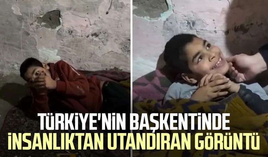Türkiye'nin başkentinde insanlıktan utandıran görüntü