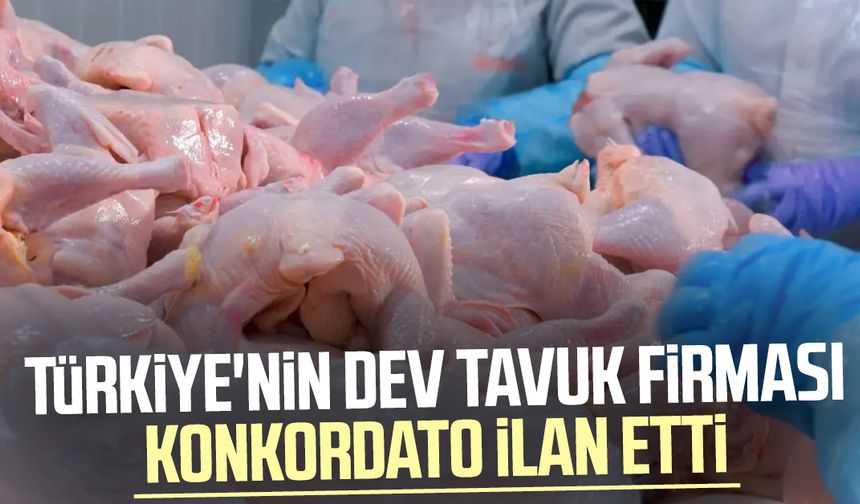 Türkiye'nin dev tavuk firması konkordato ilan etti