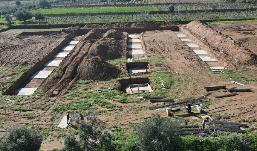 Çarşamba’da Tarımın Sosyal Hayata Yansımaları