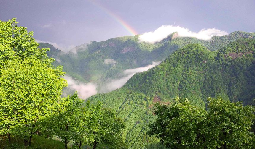 Salıpazarı’nda Geleneksel Yaşamın Günümüze Taşınması