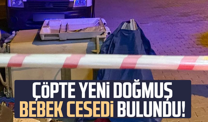 Çöpte yeni doğmuş bebek cesedi bulundu!