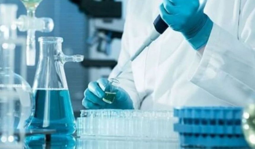 LABORATUVAR HİZMETİ ALINACAKTIR