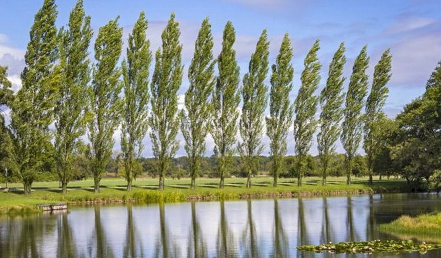 Kavak’ta Mevsim Değişimlerinin Günlük Hayata Etkisi