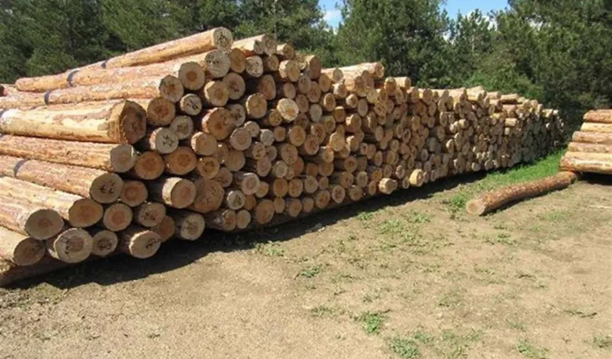 Orman Deposu İstif İşi Hizmeti Alınacak