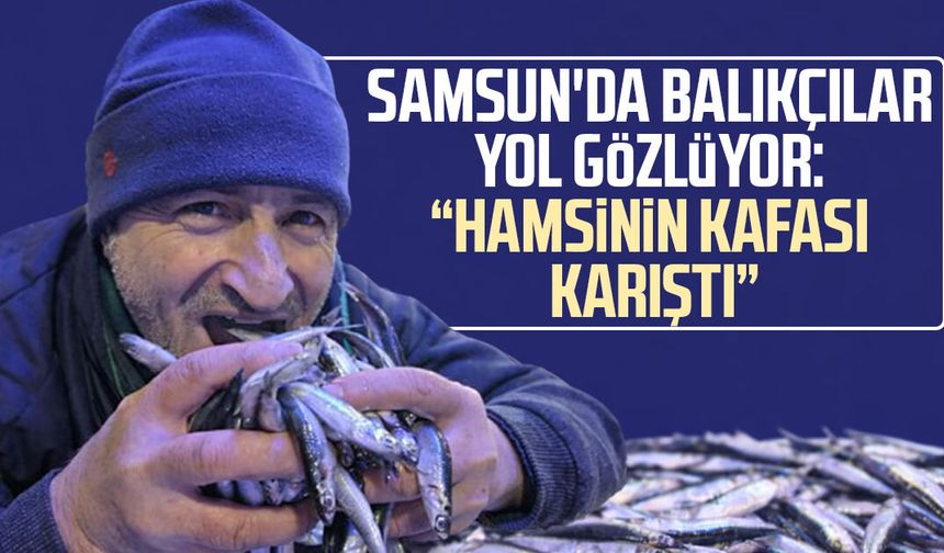Samsun'da balıkçılar yol gözlüyor: "Hamsinin kafası karıştı"