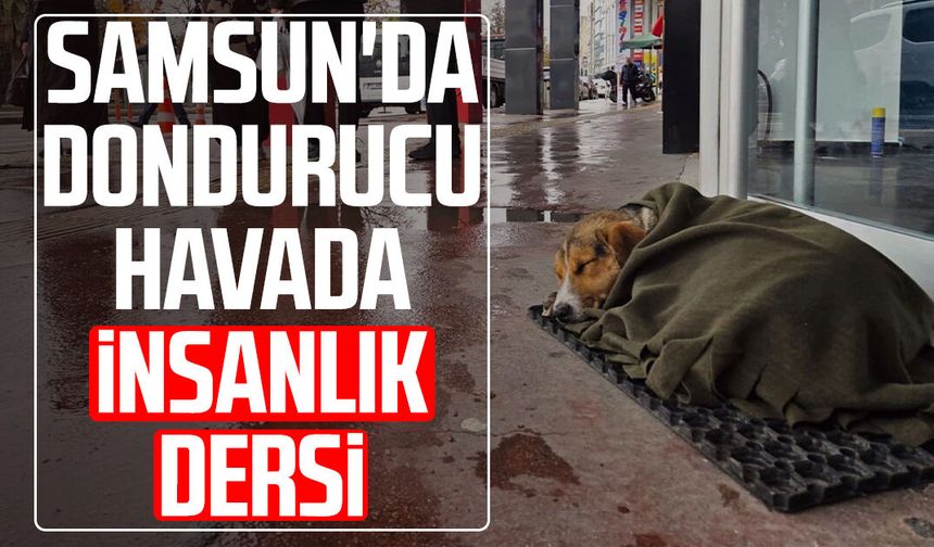 Samsun'da dondurucu havada insanlık dersi